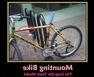 CCCXXIX Funny Wonderful Captioned Images