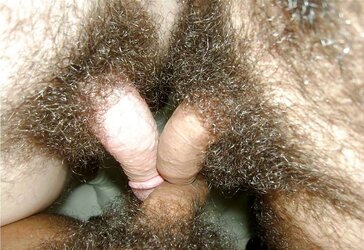 Penes Peludos Para Chupar