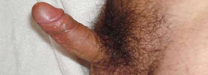 Penes Peludos Para Chupar