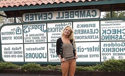 Blondie displaying in shop and outdoor