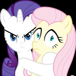Rarity and fluttershy