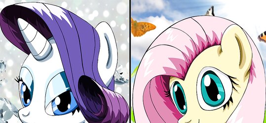Rarity and fluttershy