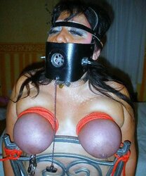 En laisse ou attachee