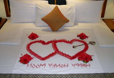 Pretty Indian Women Honeymoon