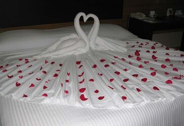 Pretty Indian Women Honeymoon