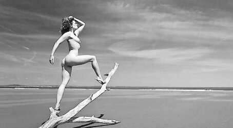 Outstanding Dark-Hued and White Prints
