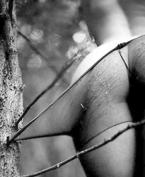 Outstanding Dark-Hued and White Prints