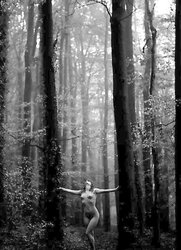 Outstanding Dark-Hued and White Prints