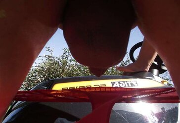 Apres la tonte