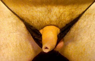 Fetishme...
