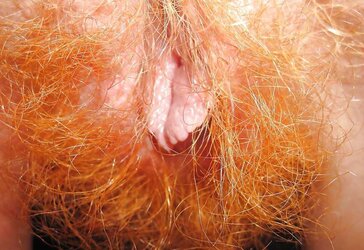 Unshaved redhead