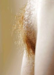 Unshaved redhead