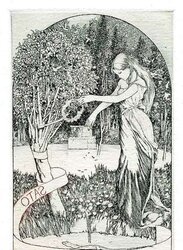 Ex Libris 7.1 - Alphonse Inoue