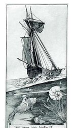 Ex Libris 7.1 - Alphonse Inoue