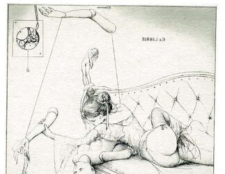 Ex Libris 7.1 - Alphonse Inoue