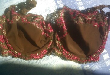 Les gros seins de ma belle-soeur 110E