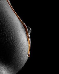 The close up files