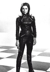 Fetish Leather!