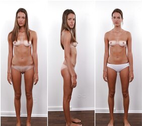 BARE HONEYS COLLAGES (LL)