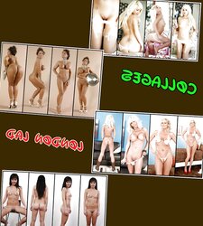 BARE HONEYS COLLAGES (LL)
