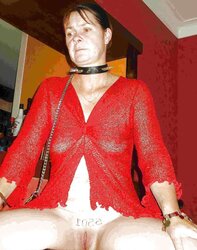 Bitches in collars