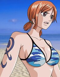 Nami One Lump Hentai