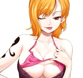 Nami One Lump Hentai