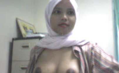 Arab Fledgling Photos