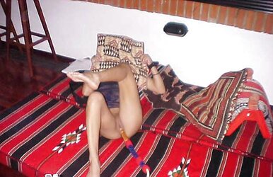 Arab Fledgling Photos