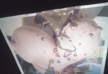 Brandy Talore: Bustin Phat Jugs