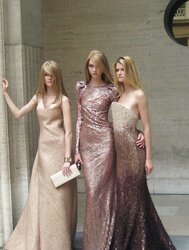 I like posh chicks who like damsels