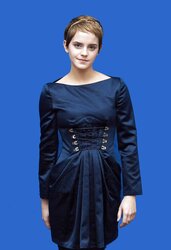 Great Emma Watson Fakes Part