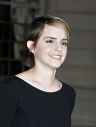 Great Emma Watson Fakes Part