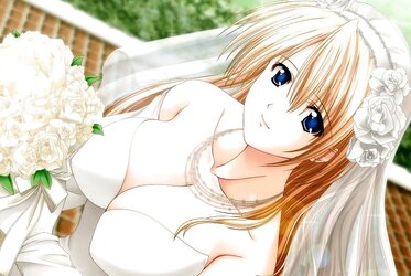 Ecchi Dame Backdrops