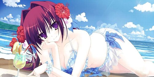 Ecchi Dame Backdrops