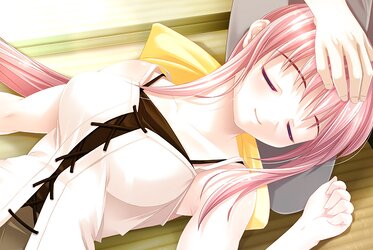 Ecchi Dame Backdrops
