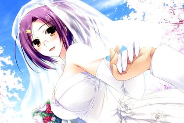 Ecchi Dame Backdrops