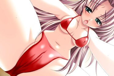 Ecchi Dame Backdrops