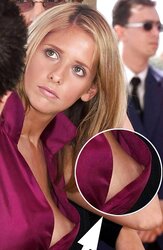 Magnificent Celebs Nipslip two by Voyeur TROC