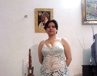 Persian chiks