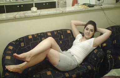 Persian chiks
