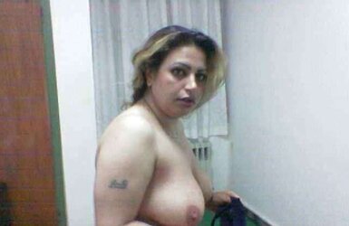 Persian chiks