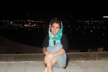 Persian chiks