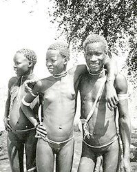African Safari, yesterday, today II