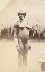 African Safari, yesterday, today II