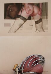 Tribute for Dominatrix Wildhoney