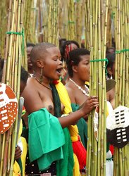 Yearly reed-dance in Swaziland