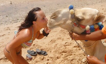 Vacation in Egypt