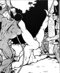 Gay cartoons