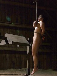Hooter Suspention